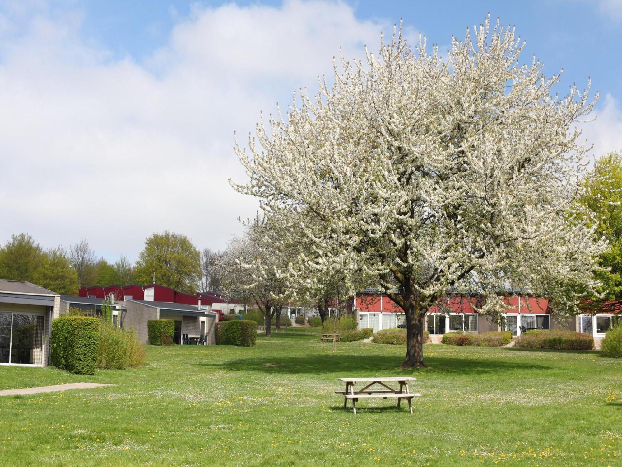 Nice Bungalow With Sauna And Bubble Bath, On A Holiday Park, 4 Km Valkenburg Villa Walem Exterior photo